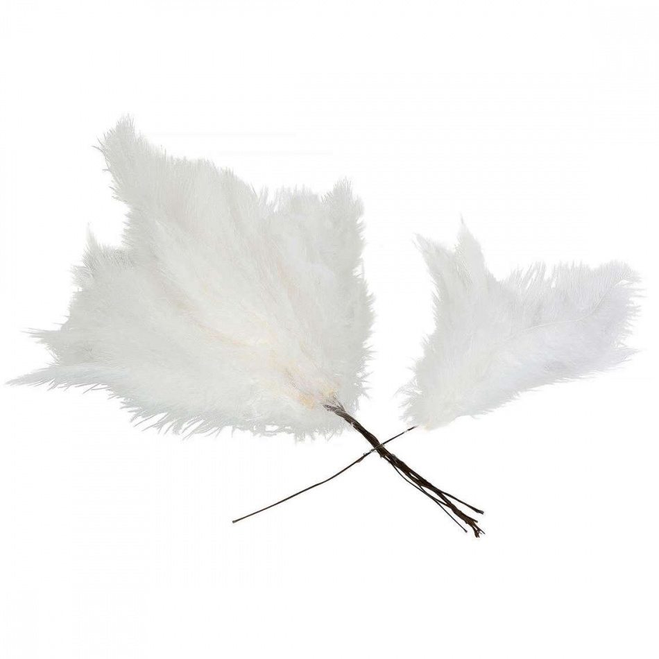 Fjädrar, duniga, Vita. 12 st