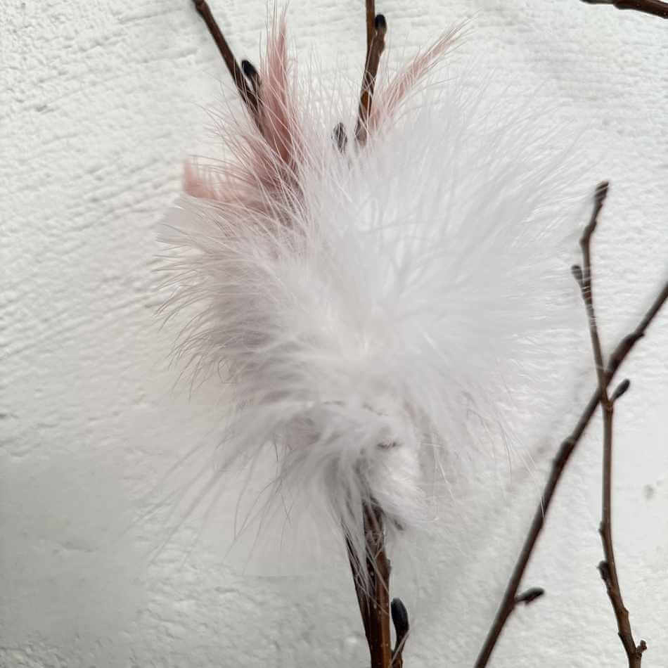 Fjädrar, duniga, Vita. 12 st