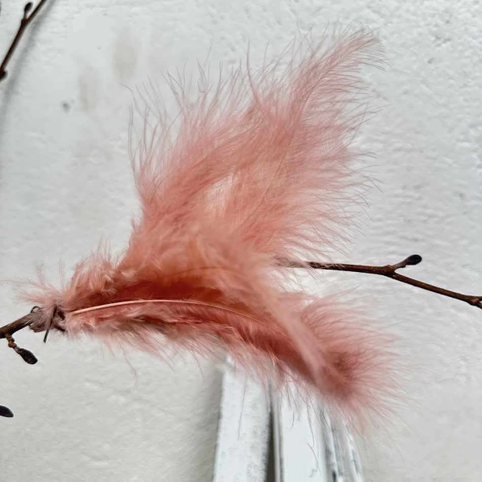 Fjädrar, duniga, Gammalrosa. 12 st