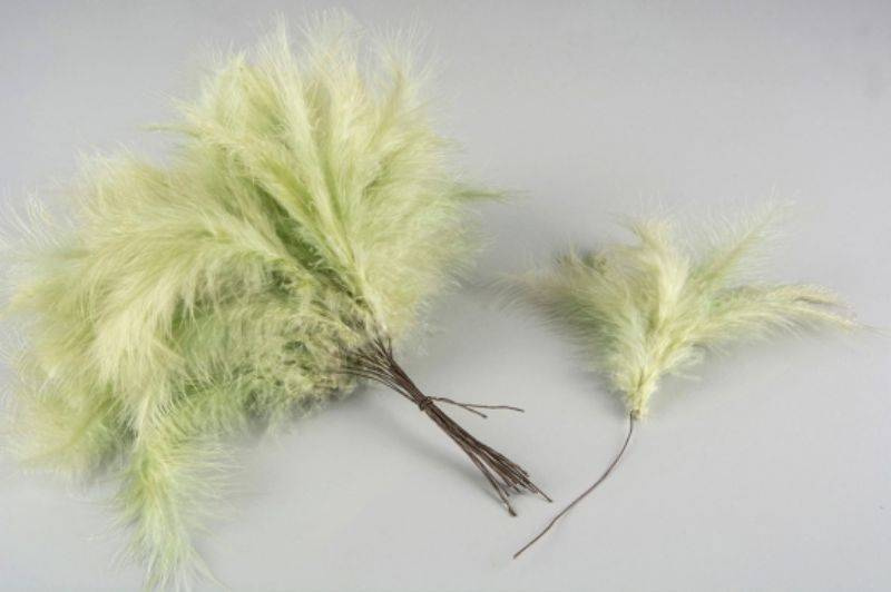 Limefärgade duniga fjädrar 12 st
