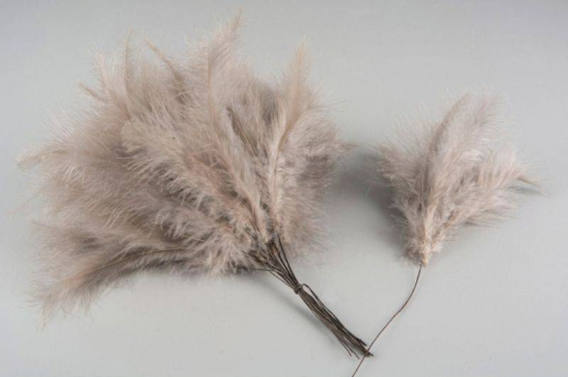 Mullvadsfärgade fjädrar 12st