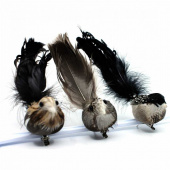 Fåglar, 3 olika Fåglar, 3 olika