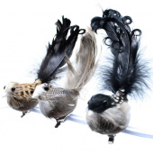 Fåglar, 3 olika Fåglar, 3 olika