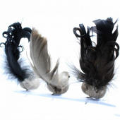 Fåglar, 3 olika Fåglar, 3 olika