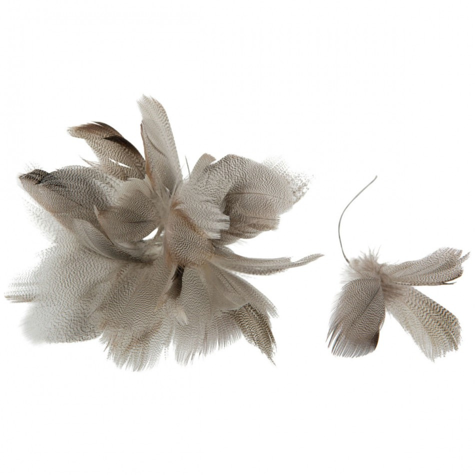Fjäderblomma / fjädrar, spräcklig. 6st