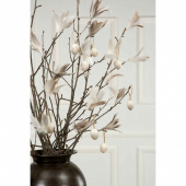 Fjäderblomma / fjädrar, spräcklig. 6st Fjäderblomma / fjädrar, spräcklig. 6st