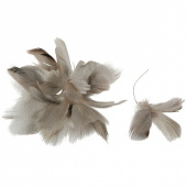 Fjäderblomma / fjädrar, spräcklig. 12st Fjäderblomma / fjädrar, spräcklig. 12st