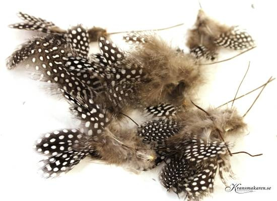 Fjädrar, trådade. 12 st. Pärlhöns