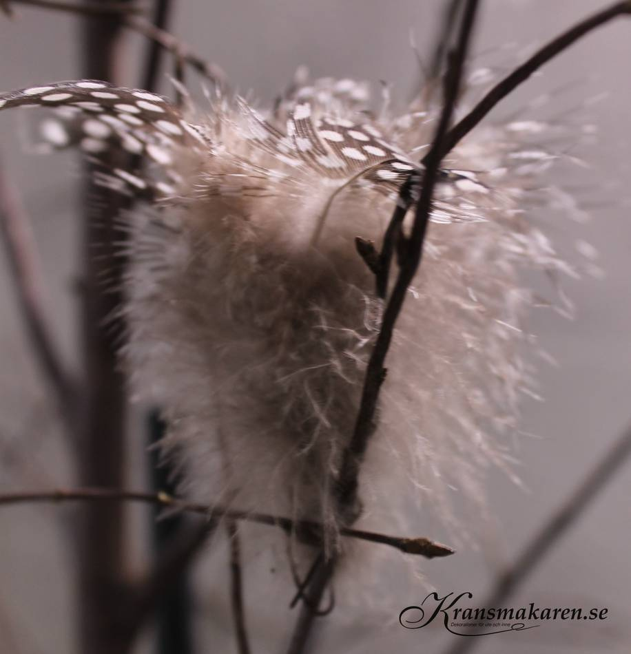 Fjädrar, trådade. 12 st. Pärlhöns