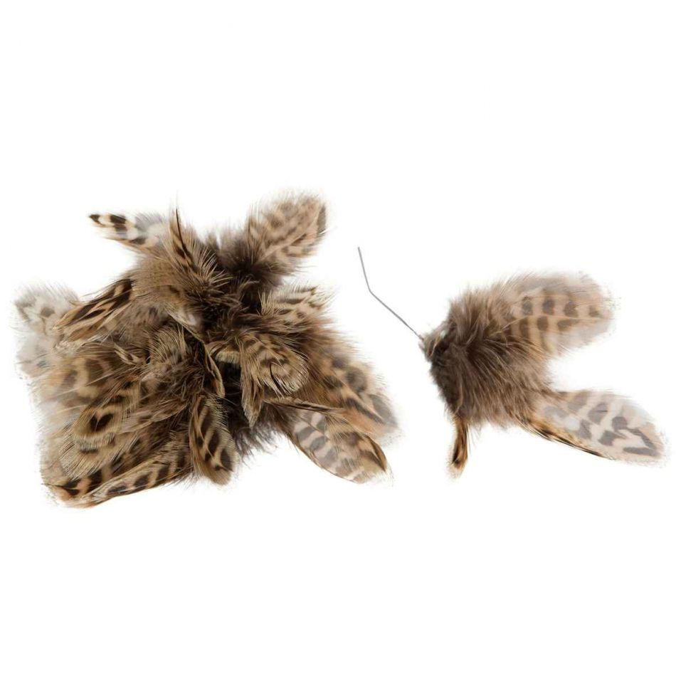 Fjädrar, Brunrandig. 6 st