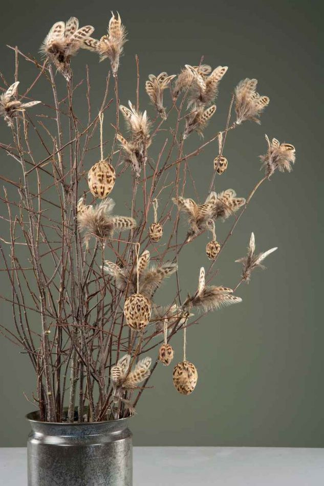 Fjädrar, Brunrandig. 6 st