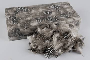 Fjädrar pärlhöns, 60 gr