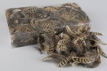 Fjädrar, randiga, 60 gr