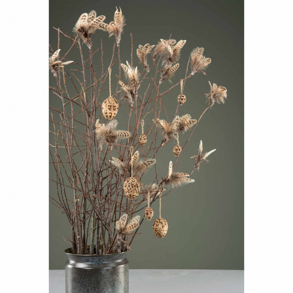 Ägg med bruna fjädrar, 3st