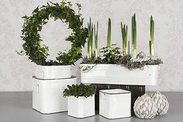 Krukor för plantering