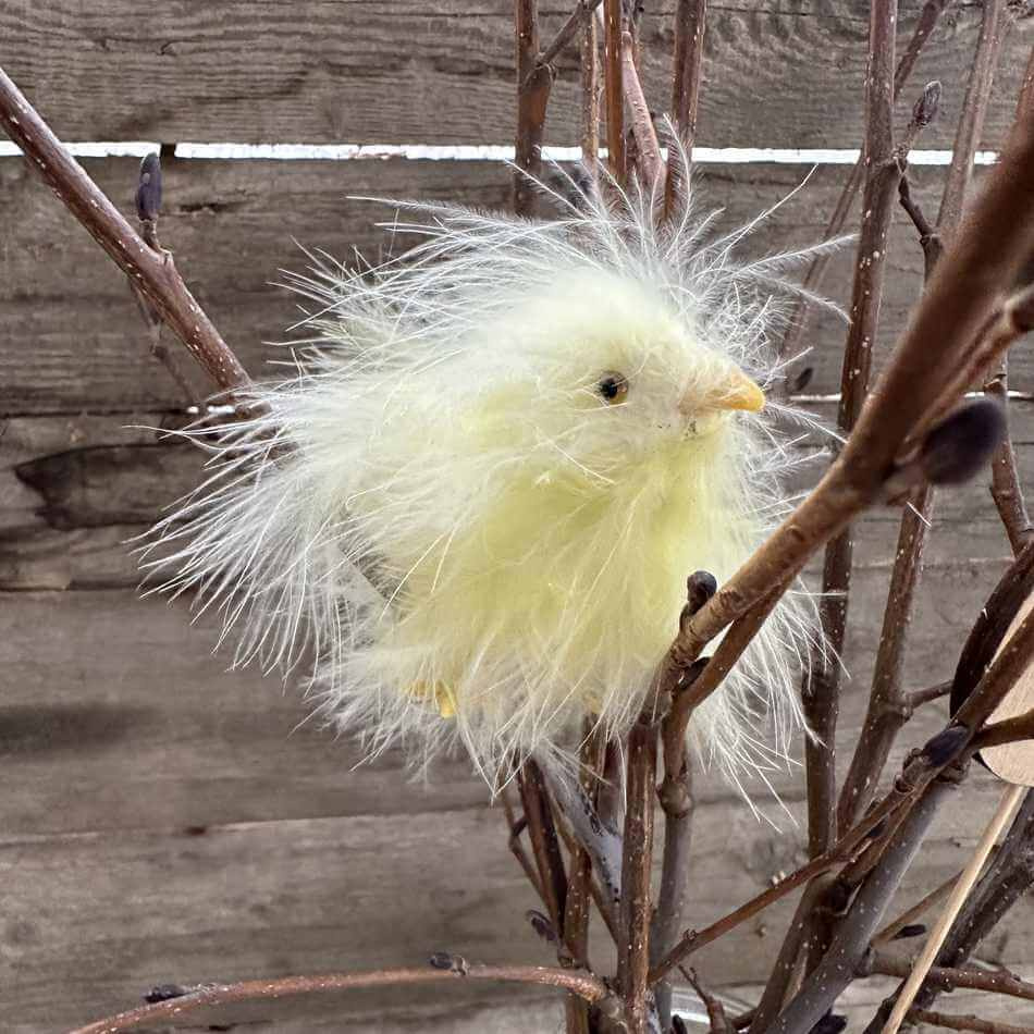 Kyckling / påskkyckling. Gula