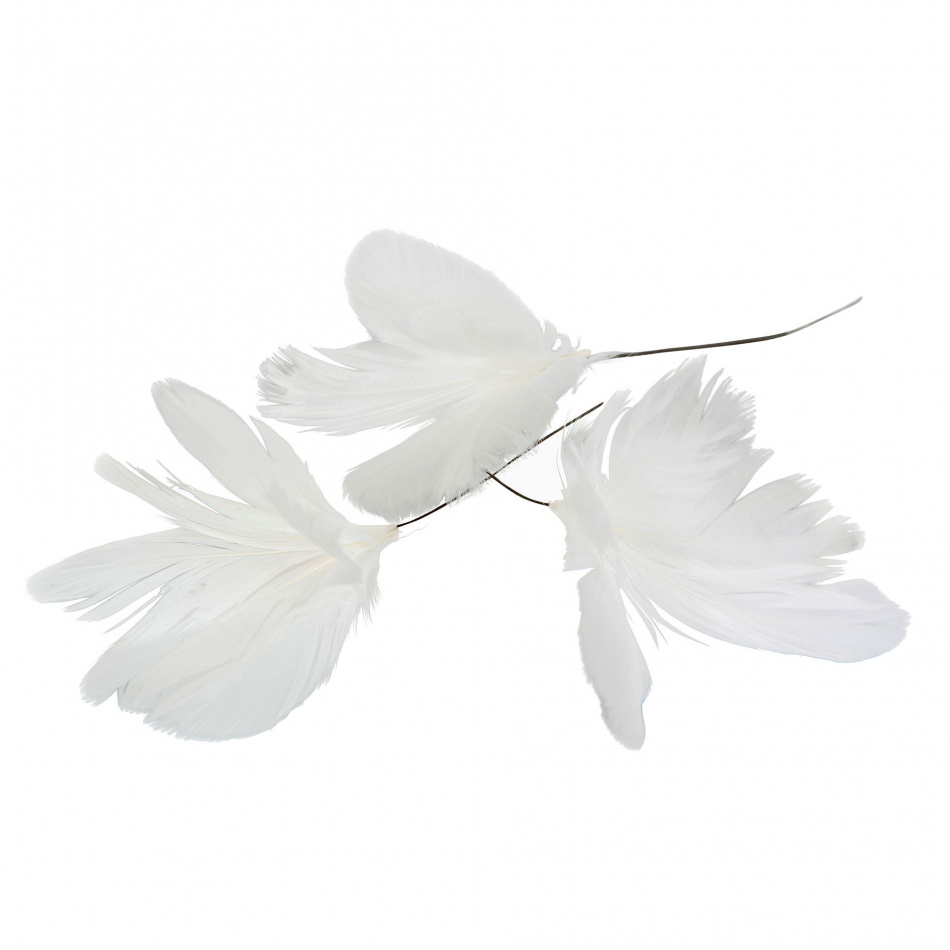 Blomformade fjädrar. Vit. 6 st