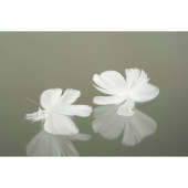 Blomformade fjädrar. Vit. 12 st Blomformade fjädrar. Vit. 12 st