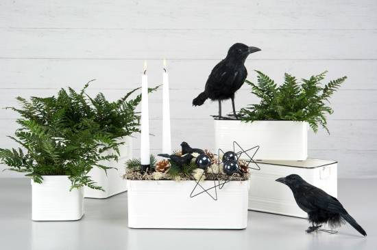 korpar att dekorera med