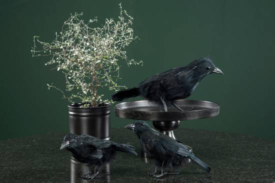 korpar att dekorera med svarta