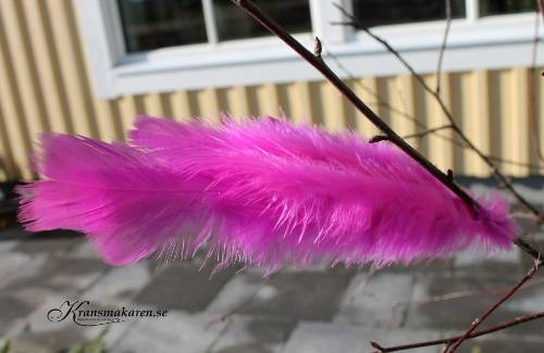 5-pack fjädrar i cerise med ståltråd