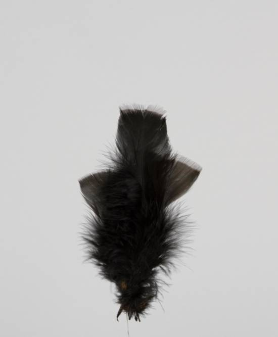 5 st svarta fjädrar