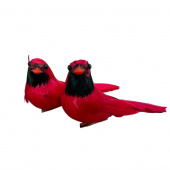 Röda fåglar att dekorera med