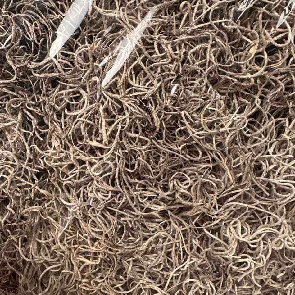 Tillandsia, konserverad. ca 350g