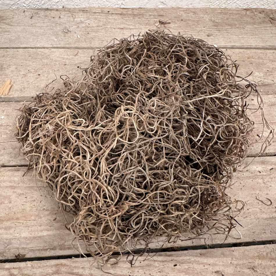 Tillandsia, konserverad. ca 350g