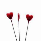 Hjärtformad floristnål. Röd. ca 40 st Hjärtformad floristnål. Röd. ca 40 st