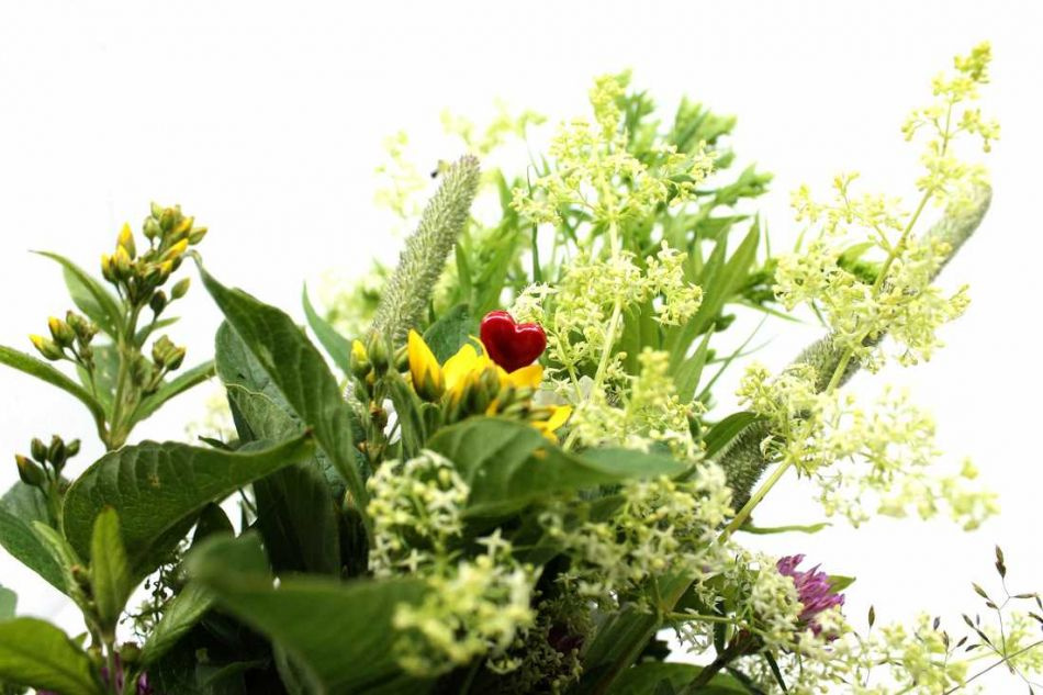 Hjärtformad floristnål. Röd. ca 40 st