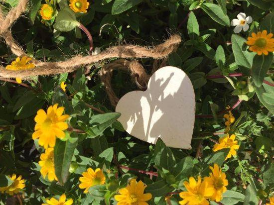 fina att sätta i blommor och kransar