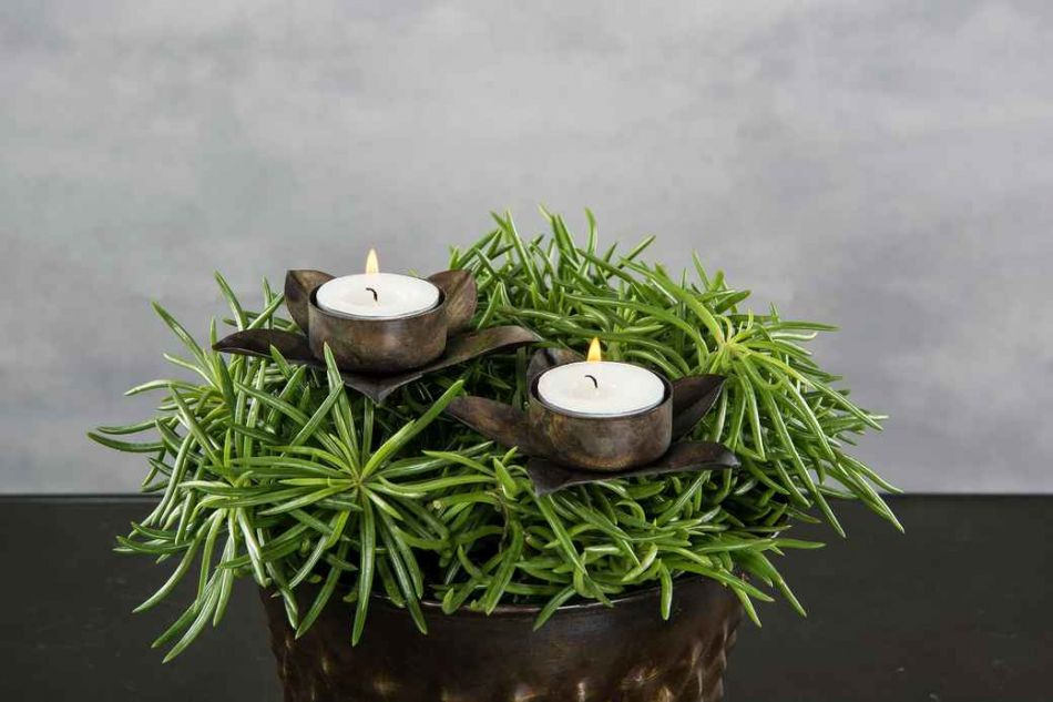 Ljushållare flaska Värmeljus Blomma - Antikbrun