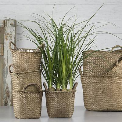 Korg med handtag. 16x20 cm