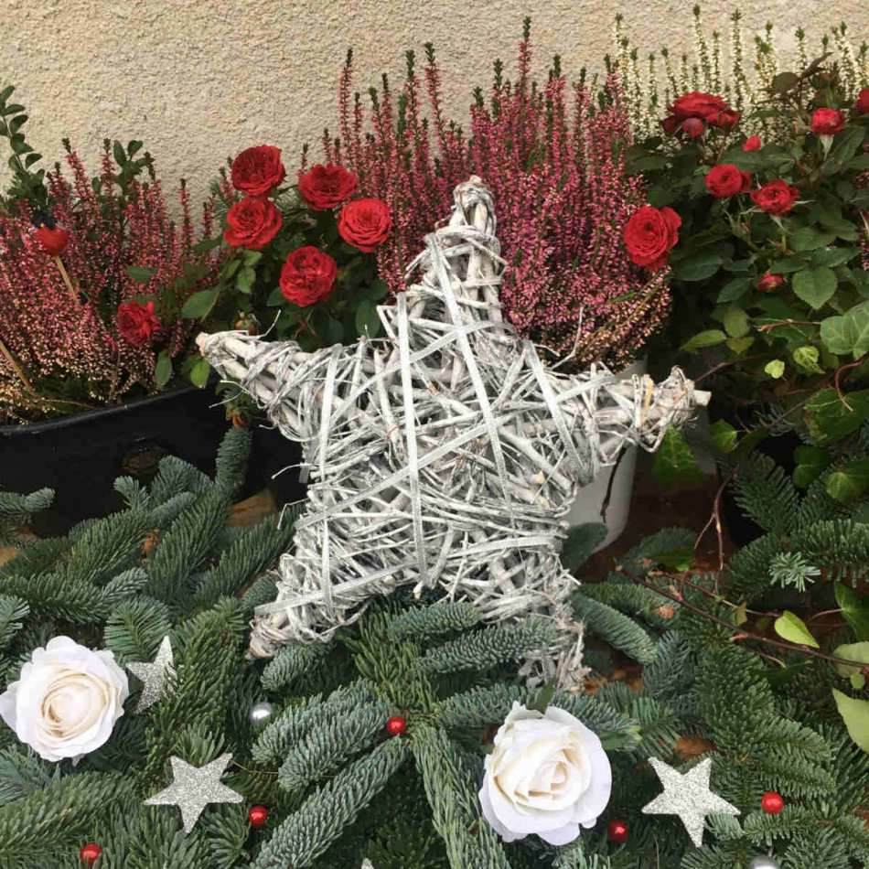 Stjärna, Vit, 30 cm