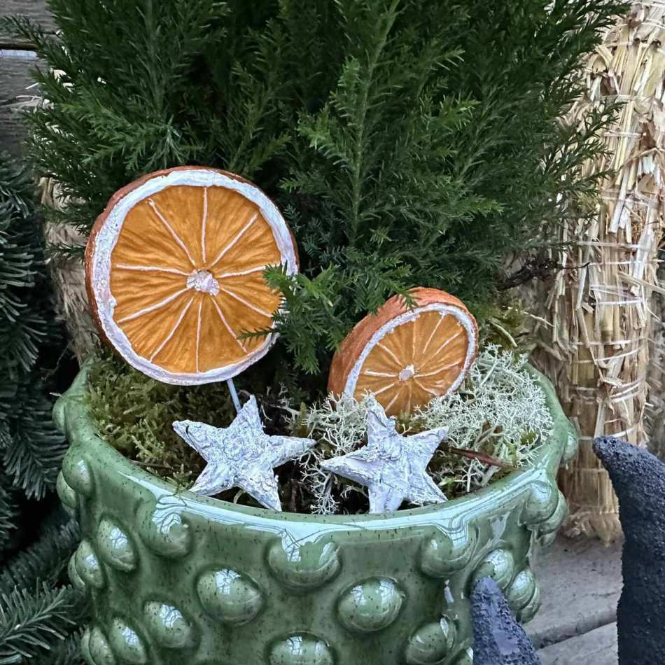 Näverstjärnor, vita 20 st