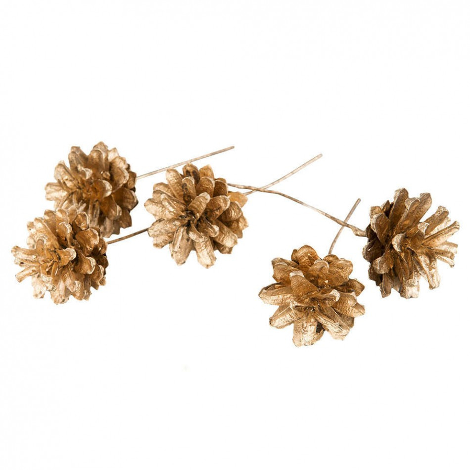 Tallkottar Guldfärgade, 5 st