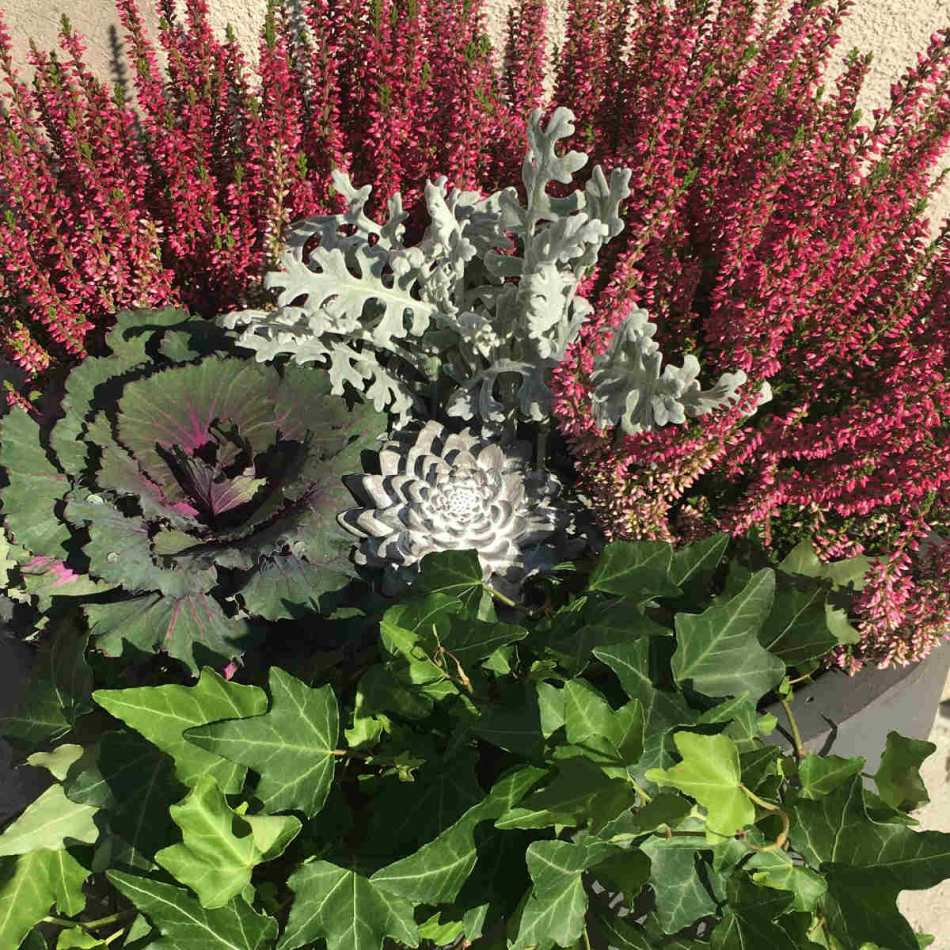 Blomma i betong. Grå. 8,5x3cm