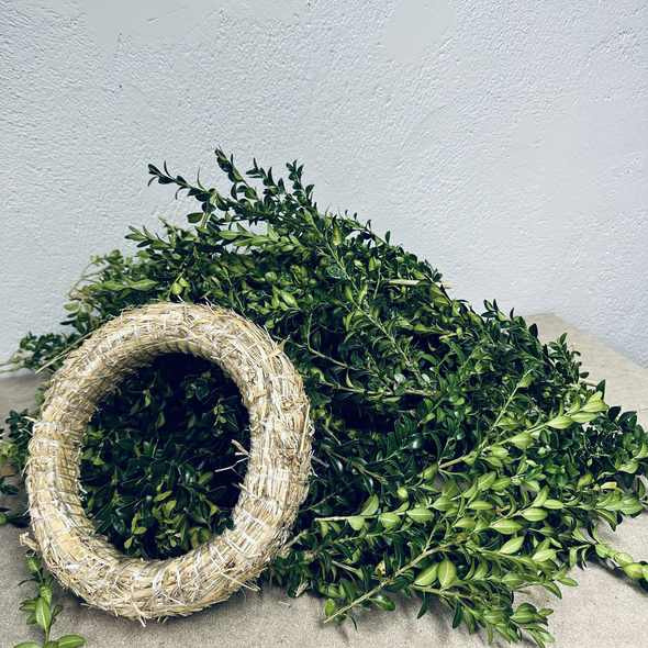 Buxbom, färsk ( pris per kg )