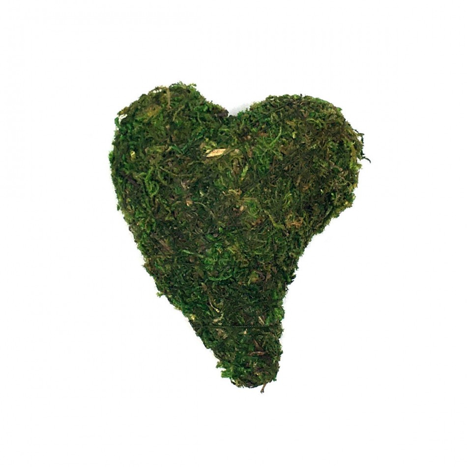 Litet sött mosshjärta