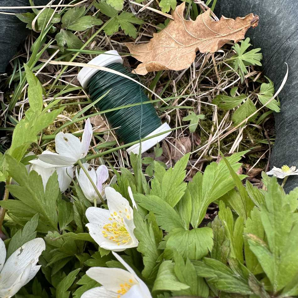 Myrtentråd, grön. 100g