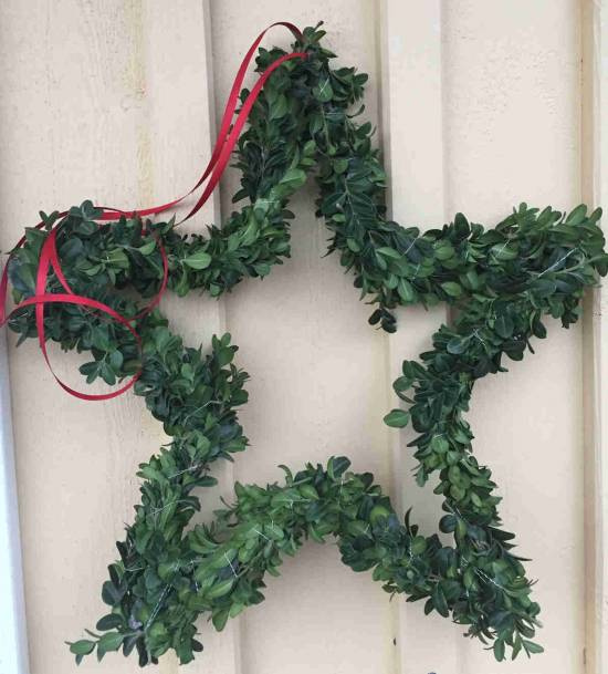 Stjärna med buxbom, ca 40 cm