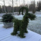 Julbock i Granris, ca 90 cm hög Julbock i Granris, ca 90 cm hög