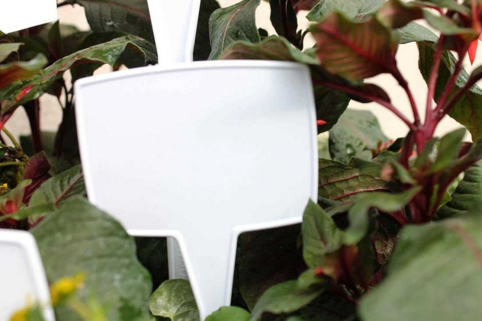 Skyltar, vita. ca 30 cm. ( 18 st )