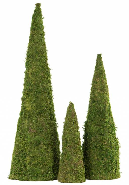 Mosskonerna finns i olika storlekar