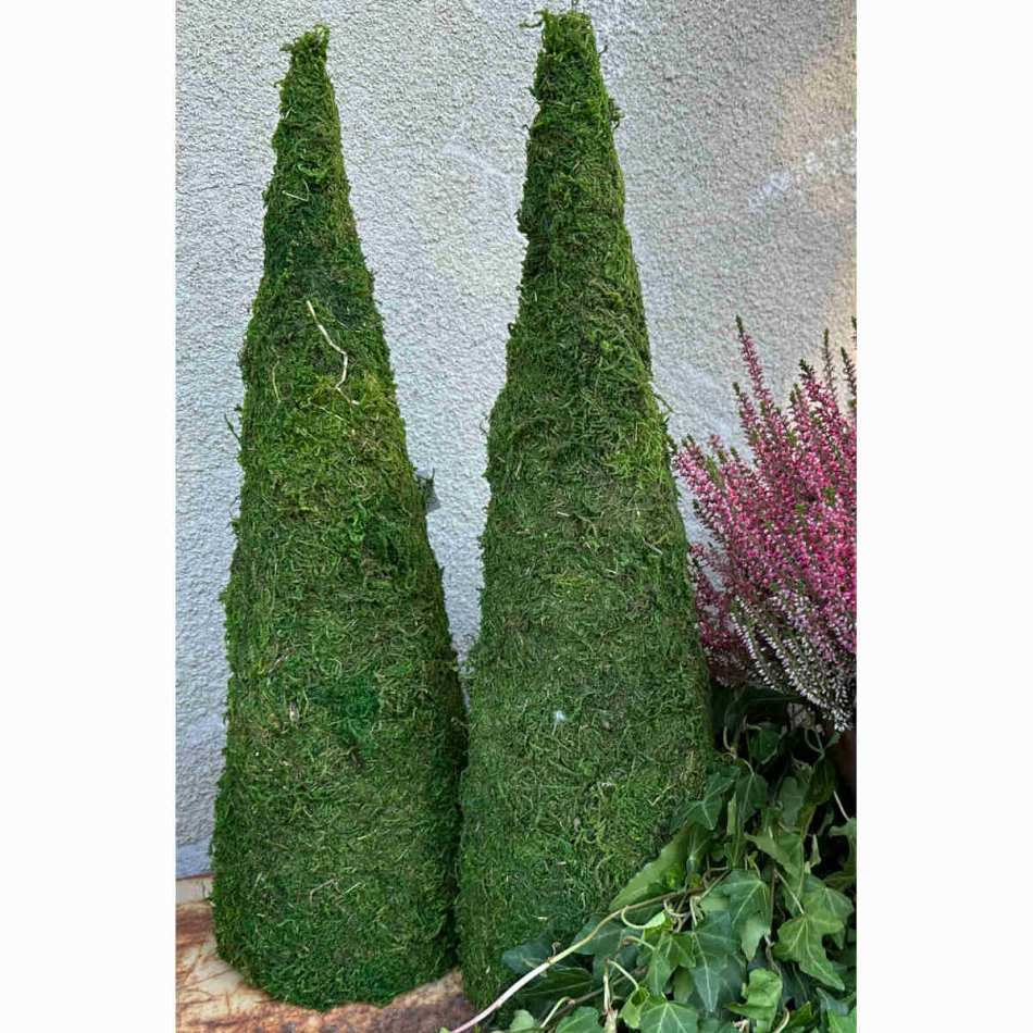 Mosskon, 50 cm hög