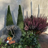 Mosskon, 50 cm hög Mosskon, 50 cm hög