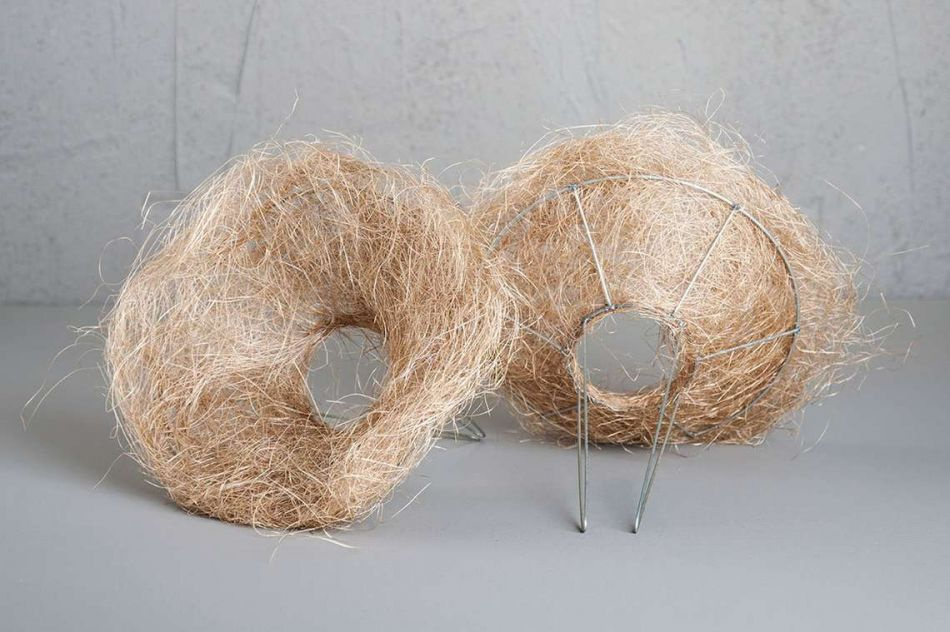 Bukettrede, Natur. 16 cm