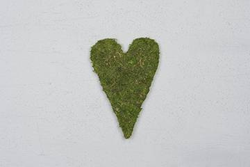 Mosshjärta, Rakt ca 18x26 cm