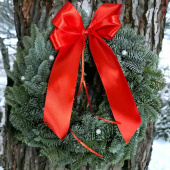 Krans med vita pärlor och röd rosett Krans med vita pärlor och röd rosett